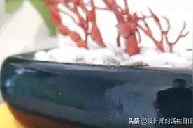 珊瑚摆件鉴赏…图片