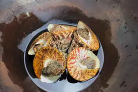海螺的肉该怎么取出来呢，必须采用海边人的土味方法视频封面