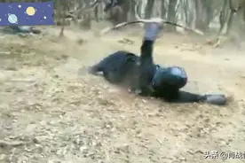 肖战狼殿下花絮视频封面