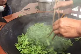 湖南农家茶叶制作全过程，纯手工，做法简单，你家乡也是这做法吗视频封面