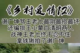 太解气了，谢广坤惹怒王老七，直接拿铁锹拍了过去视频封面