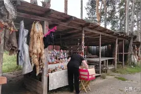 俄罗斯人烟稀少，简直看不到人，要不是树林就是村庄房屋！图片