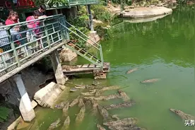 中国最具东南亚风情的兴隆华侨农场图片