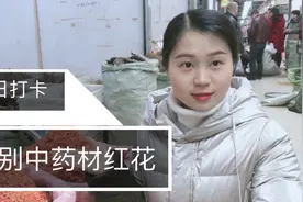 辉姐说药材：如何辨别中药材红花的真假？红花的真假就这样来区分视频封面