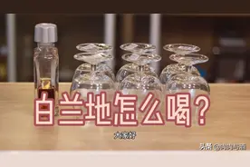 新手篇：白兰地怎么喝？视频封面