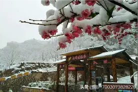 太行花溪谷   醉美春雪境图片