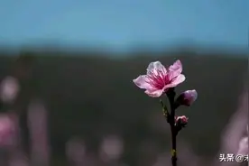 这辈子，有缘成为夫妻，父子。但，下辈子, 都不会再见了。图片
