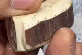 猛犸牙合法吗？很多网友却说不能买卖视频封面