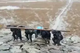 千年老鳖万年龟视频封面