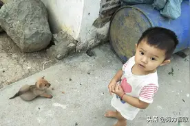 乡村小奶狗乡村小屁孩，小狗仔的童年小屁孩的童年！图片