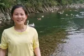 深山河里养鸭子，咋解决鸭子乱下鸭蛋的问题？