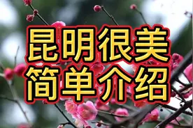 简单介绍一下昆明四区八县特产，赶紧围观！