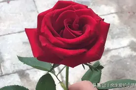 你还有遗憾吗，我怎么回答，你的遗憾，我可不敢回忆了