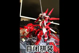 大班6601MG红异端视频封面