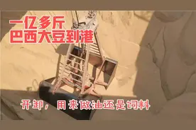 我船运了一亿多斤巴西大豆，到港卸货，好几天才卸完，如何卸视频封面