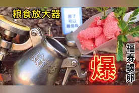 粉嫩嫩的福寿螺卵像极了鱼子酱，你们期待出锅后会是什么样子吗视频封面