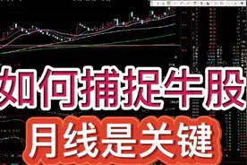 如何捕捉牛股？买在起涨点，月线是关键。实实在在的炒股干货。视频封面