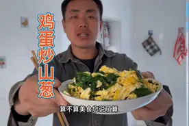 东北林区春天的野菜您认识几种，张伟家今晚山葱炒鸡蛋！视频封面