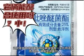 吡唑醚菌酯能不能跟代森锰锌混合使用？俺说，中！视频封面