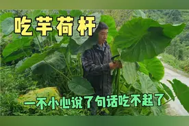 吃芋荷杆很讲究，不然会麻嘴，勇哥一不小心弄翻车了视频封面