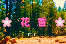 《花香》风没有方向的吹来，雨也跟着悲伤起来……视频封面