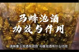 滇映象•泡酒有成效｜马蜂泡酒的功效与作用视频封面