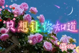 陈瑞深情演唱的《只想让你知道》歌声婉转催人泪下，全网传唱。视频封面