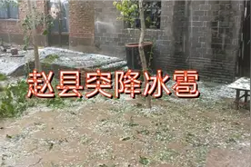 石家庄赵县突降冰雹视频封面