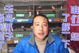 玉鸟知识：爪子毛病 起红线 长疙瘩 让鸟友头疼啊！