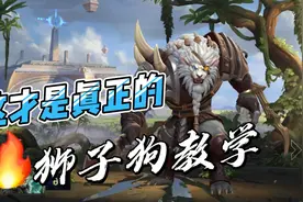 LOL手游狮子狗：技能技巧加全局实战讲解，就是这么顶！视频封面