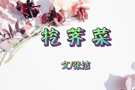 散文欣赏 张洁《挖荠菜》|挖野菜的季节，听妈妈讲讲过去的故事吧视频封面