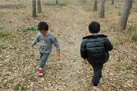 熊孩子自娱自乐，在树林里玩转圈圈，看谁先转出来视频封面