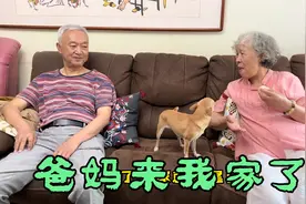 爸妈来我家了，感受一下夏天的小院，中午家附近小饭店吃点小饼视频封面