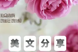 励志语录美文文案～一句话治愈你的心灵视频封面