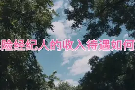 保险经纪人的收入待遇如何？视频封面