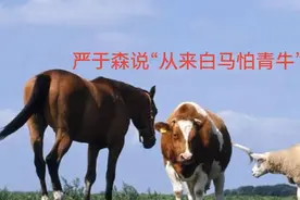 “从来白马怕青牛”说十二生肖相害化解方法（6-1）视频封面