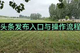 头条发布入口与操作步骤，新人入门指南视频封面