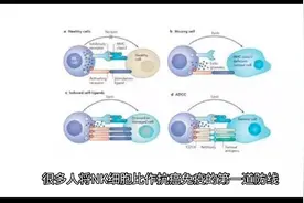 免疫细胞NK DC  DC-CIK ……介绍（结尾）视频封面