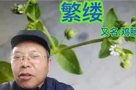 牙痛，疖肿，的治疗。视频封面
