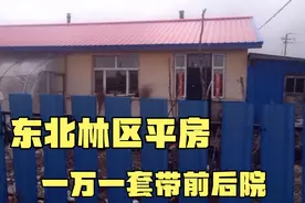 东北农村平房，一万一套带前后院，这种居住的环境你喜欢吗？视频封面