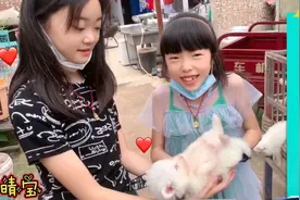 晴宝妈妈送给她只刚满月的狗狗，把卡通拖鞋当狗窝，还在家乱撒尿视频封面