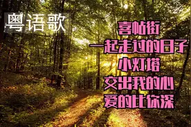 【超燃粤语歌】听过的点个赞，没听过的快存到歌单，舒缓身心解压视频封面