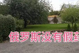 俄罗斯对药品监管特别严，我在俄罗斯这么多年没有听说过，假药视频封面