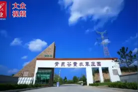 浪漫最好的诠释！就在这片薰衣草花田图片