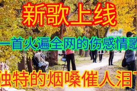 新歌上线，三首刚出的最新歌曲，唱的伤感深情走心，听醉了，好听视频封面