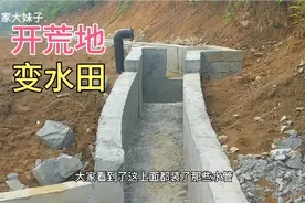 旱改水土地平整已接近尾声，改造后的模样大家觉得值得吗？视频封面