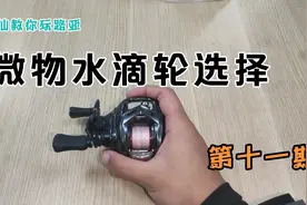 新手玩微物，选不好水滴轮?三分钟告诉你怎么挑选才是正确的