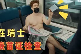 在瑞士，火车上的搞笑疫苗证检查视频封面