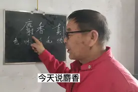 麝香，你能辩认出真假吗？教你一招！视频封面