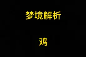 孕妇梦见鸡视频封面